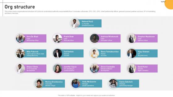 Org Structure Cloud Based Predictive Analytics Software Pitch Deck