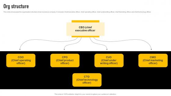 Org Structure Insurance Investor Funding Elevator Pitch Deck Diagrams Pdf