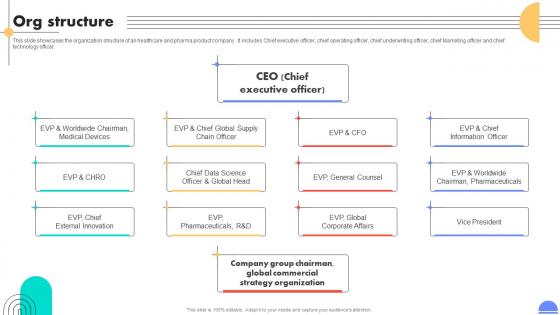Org Structure Medical Devices And Children Care Products Company Investment