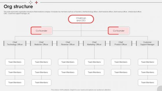 Org Structure Virtual Medical Consultancy Investor Funding Elevator Pitch Deck