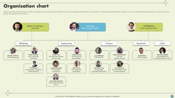 Organisation Chart Consumer Electronics Company Profile CP SS V Organisation Chart Consumer Electronics Company Profile CP SS V