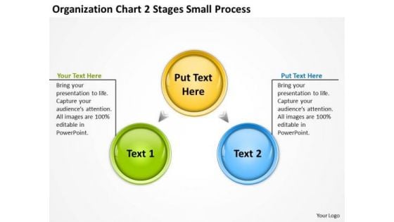 Organization Chart 2 Stages Small Process Ppt Business Plan Definition PowerPoint Slides