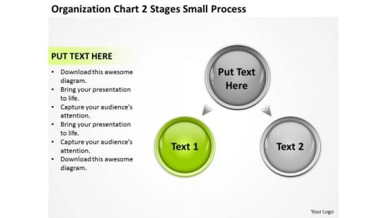 Organization Chart 2 Stages Small Process Ppt Business Plans PowerPoint Slides