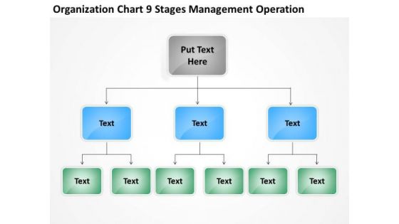Organization Chart 9 Stages Management Operation Ppt How To Business Plan PowerPoint Templates