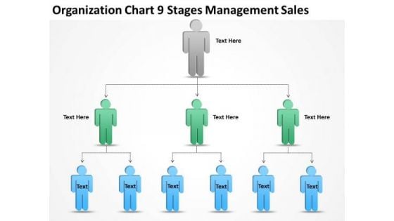 Organization Chart 9 Stages Management Sales Ppt Company Business Plan PowerPoint Slides