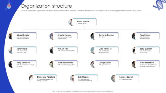 Organization Structure Biotech Firm Pitch Deck