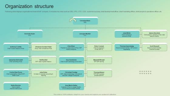 Organization Structure Enterprise Software Solution Providing Company Profile CP SS V Organization Structure Enterprise Software Solution Providing Company Profile CP SS V