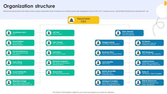 Organization Structure Medical Research And Development Company Profile CP SS V