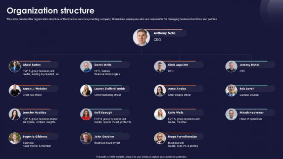 Organization Structure Online Financial Services Platform Ppt Example Organization Structure Online Financial Services Platform Ppt Example