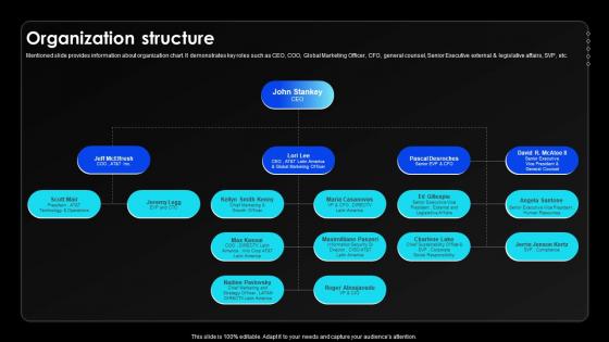 Organization Structure Wireless Communication Services Provider Company Profile CP SS V