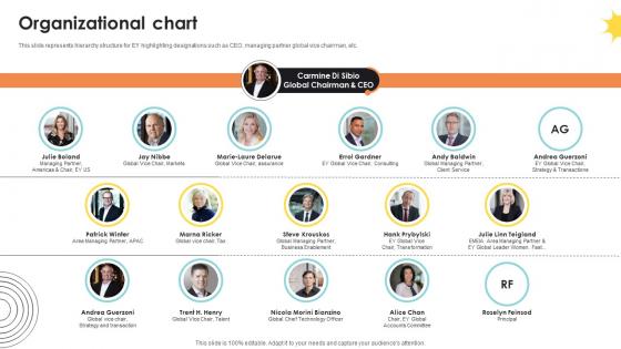 Organizational Chart Professional Services And Tax Advisory Company Profile CP SS V