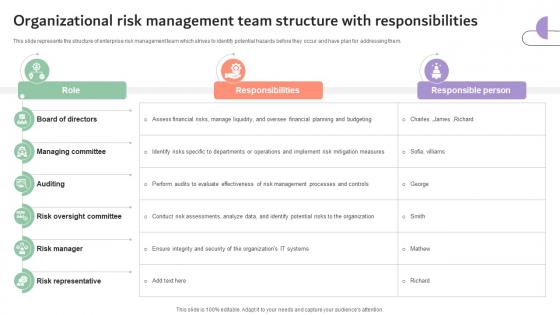 Organizational Risk Management Team Structure With Responsibilities DTE SS V