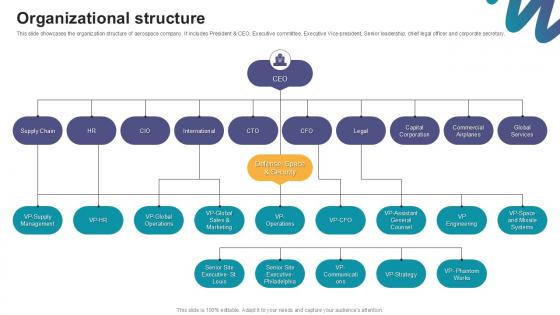 Organizational Structure Digital Marketings Strategies PPT Slide CP SS V