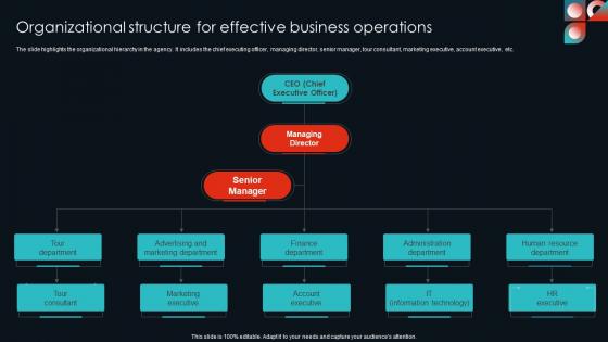 Organizational Structure For Effective Cultural Travel Agency Business Plan Introduction Pdf