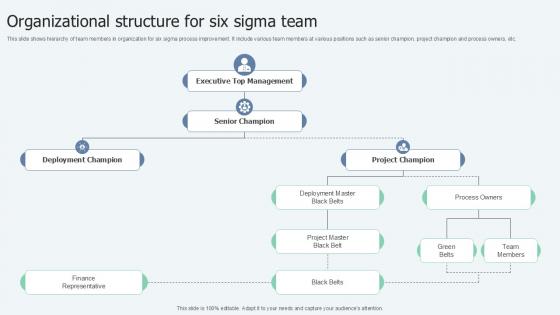 Organizational Structure For Lean Six Sigma In Manufacturing Ppt Powerpoint Organizational Structure For Lean Six Sigma In Manufacturing Ppt Powerpoint