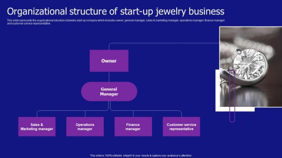 Organizational Structure Of Start Up Jewelry Business Jewelry Products Business Pictures Pdf