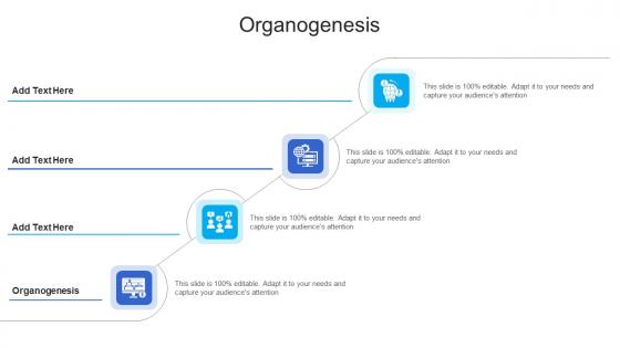 Organogenesis In Powerpoint And Google Slides Cpb