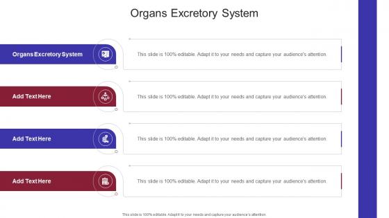 Organs Excretory System In Powerpoint And Google Slides Cpb