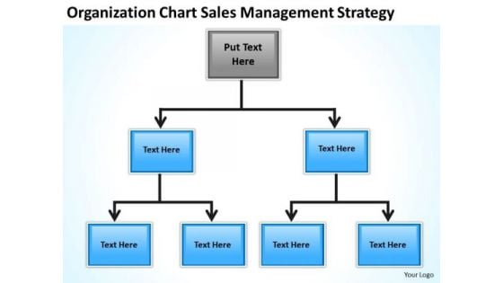 Organization Chart Sales Management Strategy Ppt Business Plan PowerPoint Slides