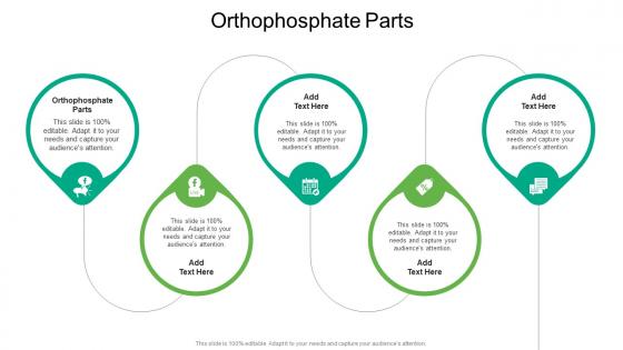 Orthophosphate Parts In Powerpoint And Google Slides Cpb