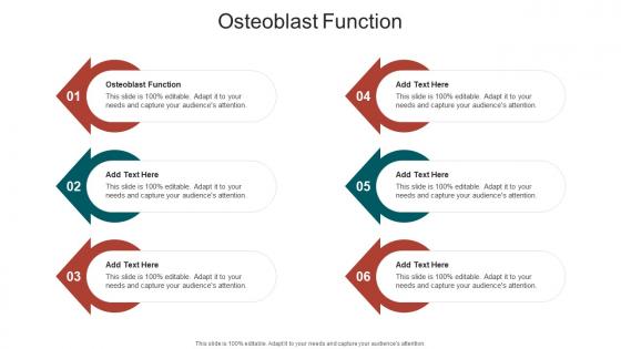 Osteoblast Function In Powerpoint And Google Slides Cpb