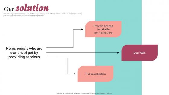 Our Solution Pet Care Company Investor Funding Elevator Pitch Deck Slides Pdf