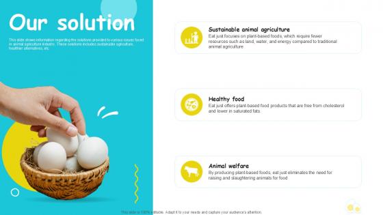 Our Solution Plant Based Eggs Developing Company Investor PPT Slide