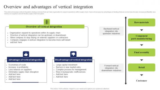 Overview Advantages Vertical Business Integration Tactics To Eliminate Competitors Themes Pdf