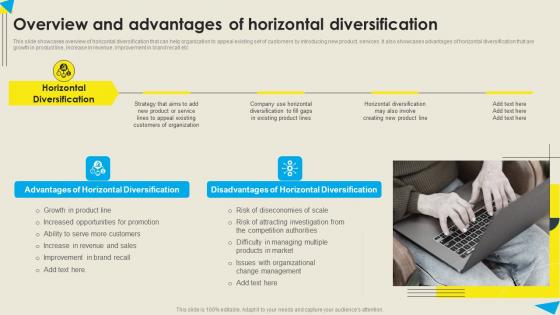 Overview And Advantages Of Horizontal Strategic Diversification Plan Topics PDF