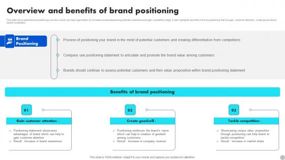 Overview And Benefits Of Brand Positioning Brand Diversification Approach Rules Pdf