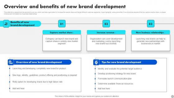 Overview And Benefits Of New Brand Development Brand Diversification Approach Professional Pdf