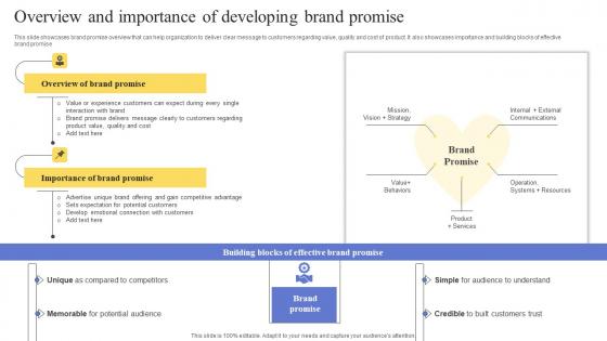 Overview And Importance Of Developing Brand Maximizing Revenue Using Demonstration Pdf