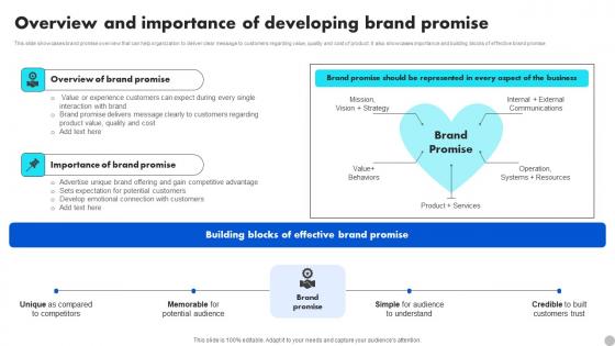 Overview And Importance Of Developing Brand Promise Brand Diversification Approach Clipart Pdf