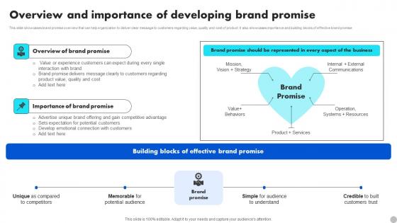 Overview And Importance Of Developing Brand Promise Brand Diversification Approach Clipart Pdf Overview And Importance Of Developing Brand Promise Brand Diversification Approach Clipart Pdf