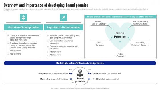 Overview And Importance Of Developing Brand Promise Launching New Product Brand Graphics Pdf