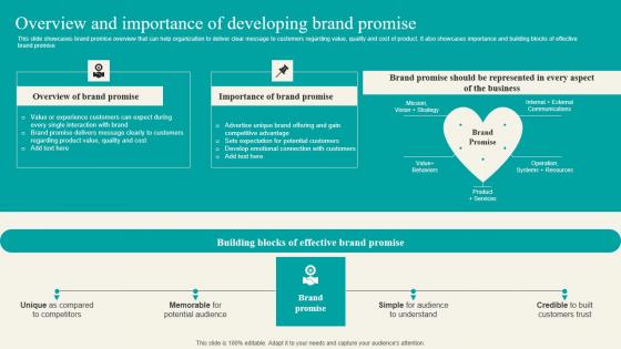 Overview And Importance Of Developing Brand Strategic Marketing Plan Formats PDF