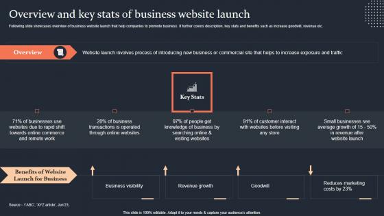 Overview And Key Stats Of Business Website Launch Step By Step Guide Mockup PDF