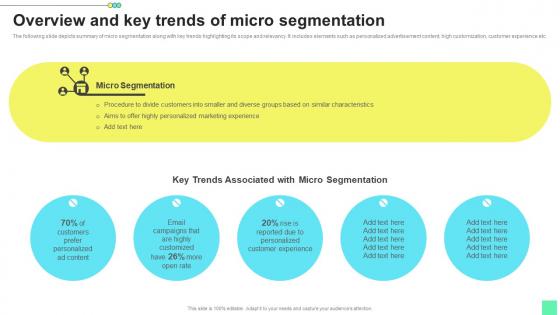 Overview And Key Trends Of Introduction To Niche Marketing Audience Segmentation Sample Pdf