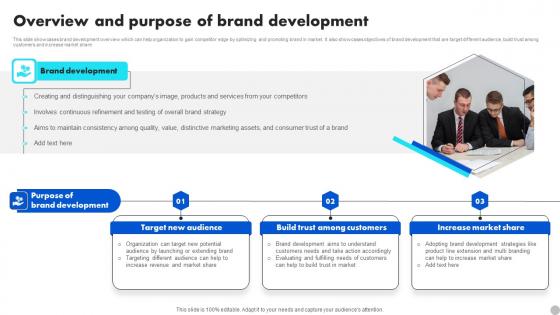 Overview And Purpose Of Brand Development Brand Diversification Approach Themes Pdf