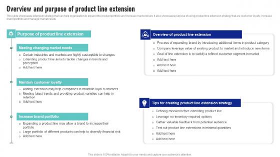 Overview And Purpose Of Product Line Extension Launching New Product Brand Elements Pdf