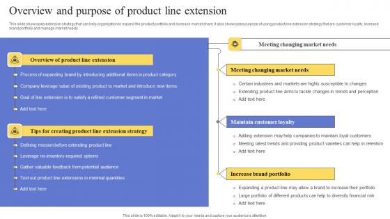 Overview And Purpose Of Product Line Extension Maximizing Revenue Using Formats Pdf