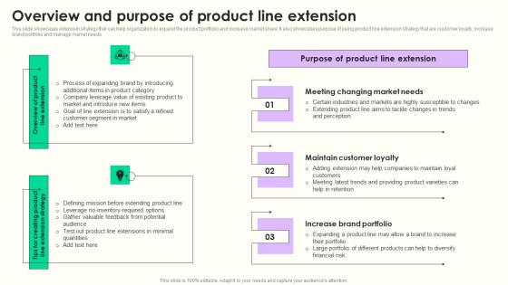 Overview And Purpose Of Product Maximizing Sales Via Online Brand Marketing Strategies Designs Pdf