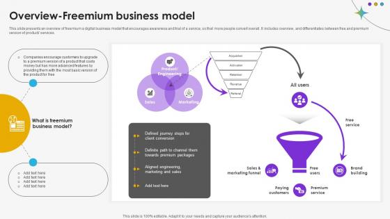 Overview Freemium Business Model DT SS V