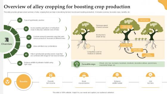 Overview Of Alley Cropping For Enhancing Productivity With Adoption PPT Sample Overview Of Alley Cropping For Enhancing Productivity With Adoption PPT Sample