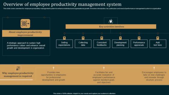 Overview Of Employee Productivity Employee Performance Improvement Strategies Clipart Pdf