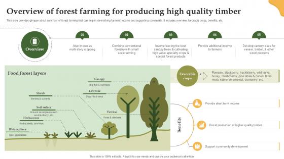 Overview Of Forest Farming For Producing Enhancing Productivity With Adoption PPT PowerPoint Overview Of Forest Farming For Producing Enhancing Productivity With Adoption PPT PowerPoint