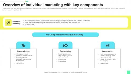Overview Of Individual Marketing Introduction To Niche Marketing Audience Segmentation Pictures Pdf