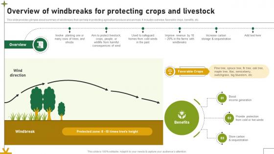 Overview Of Windbreaks For Protecting Crops And Livestock Adopting Sustainable Farming Techniques Overview Of Windbreaks For Protecting Crops And Livestock Adopting Sustainable Farming Techniques