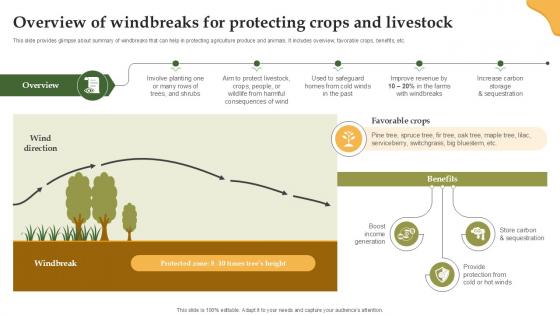 Overview Of Windbreaks For Protecting Enhancing Productivity With Adoption PPT Slide