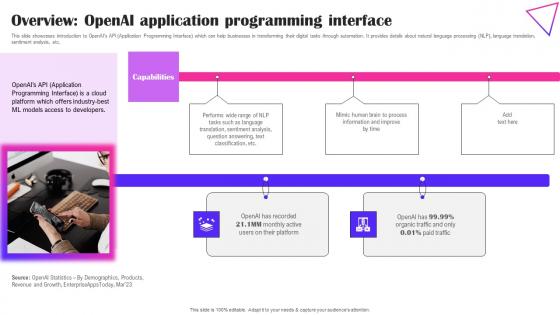 Overview OpenAI Application Programming Creative Applications For Open AI Infographics Pdf